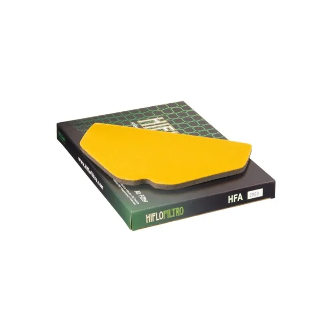 FILTRO AIRE HIFLOFILTRO HFA-2909 Filtro calidad Original | Repuestos Originales en Rebesa FILTRO AIRE HIFLOFILTRO HFA-2909 Filtro calidad Original | Repuestos Originales en Rebesa