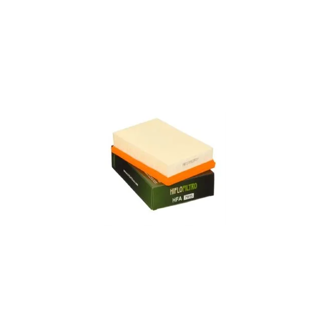 FILTRO AIRE HIFLOFILTRO HFA-5219 Filtro calidad Original | Repuestos Originales en Rebesa FILTRO AIRE HIFLOFILTRO HFA-5219 Filtro calidad Original | Repuestos Originales en Rebesa
