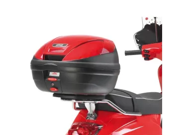 PORTAEQUIPAJE ML P/INTML PIAGGIO.VESPA.50-125-150.LX05 A 08