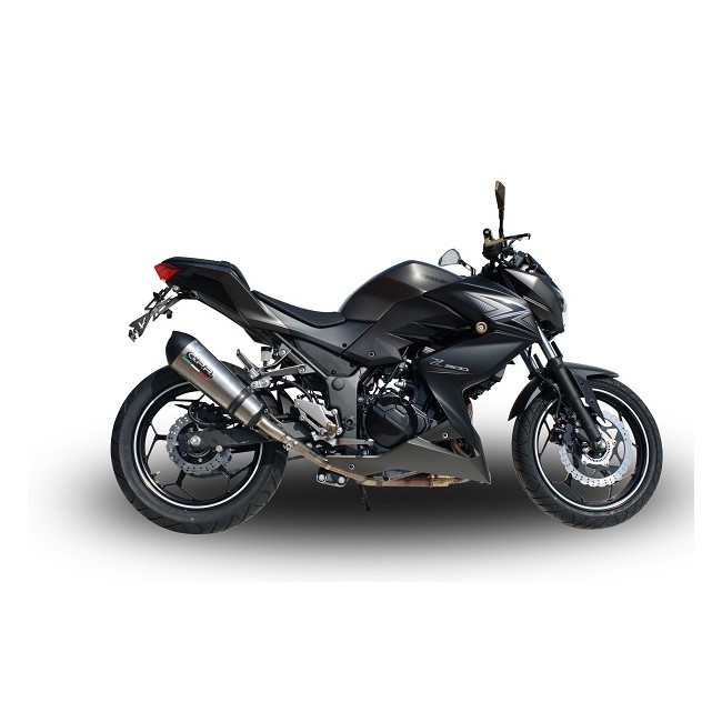 ESCAPE GPR GPE ANNIVERSARY TITANIUM KAWASAKI Z 300 2014/1 ESCAPE GPR GPE ANNIVERSARY TITANIUM KAWASAKI Z 300 2014/1