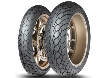 CUBIERTA DUNLOP 150/70 ZR17 69W M+S TL MUTANT