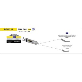 Conector central catalítico