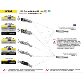 Conector central catalítico