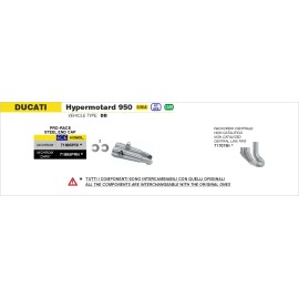 RAGGRUPPAMENTO 2:1 RACING DEKAT INOX DUCATI HY
