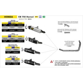 ESCAPE ARROW HONDA CB 750 HORNET '23 HOMOLOGATED     ALUMINUM DARK INDY RACE SILENCER WELDED LINK PIPE