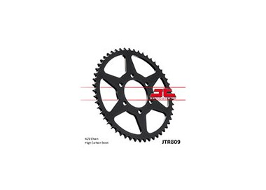 Pinhões e COROAS JT Sprockets coroa JT 809-53 | REBESA.COM