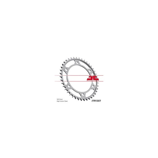 Pinhões e COROAS JT Sprockets coroa JT 1307-42 | REBESA.COM