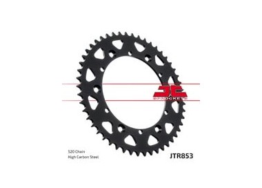 Piñones y Cadenas JT Sprockets CORONA JT 853-41 | REBESA.COM