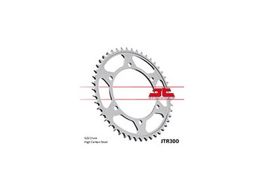 Piñones y Cadenas JT Sprockets CORONA JT 300-49 | REBESA.COM
