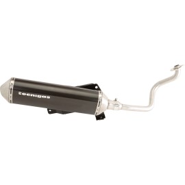 ESCAPE TECNIGAS 4SCOOT PIAGGIO BEVERLY 125