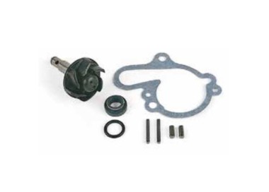 KIT DE REPARACION BOMBA DE AGUA MINARELLI AM6