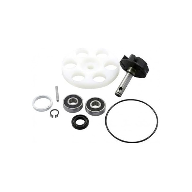 KIT DE REPARACION BOMBA DE AGUA MINARELLI/YAMAHA 50CC KIT DE REPARACION BOMBA DE AGUA MINARELLI/YAMAHA 50CC