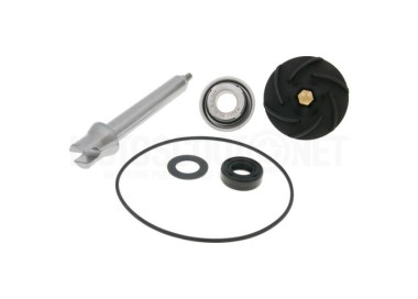 KIT DE REPARACION BOMBA DE AGUA PIAGGIO 500CC EURO3