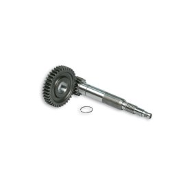 DESARROLLOS PRIMARIOS HTQ z 16/37