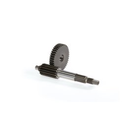 DESARROLLOS PRIMARIOS HTQ z 15/42