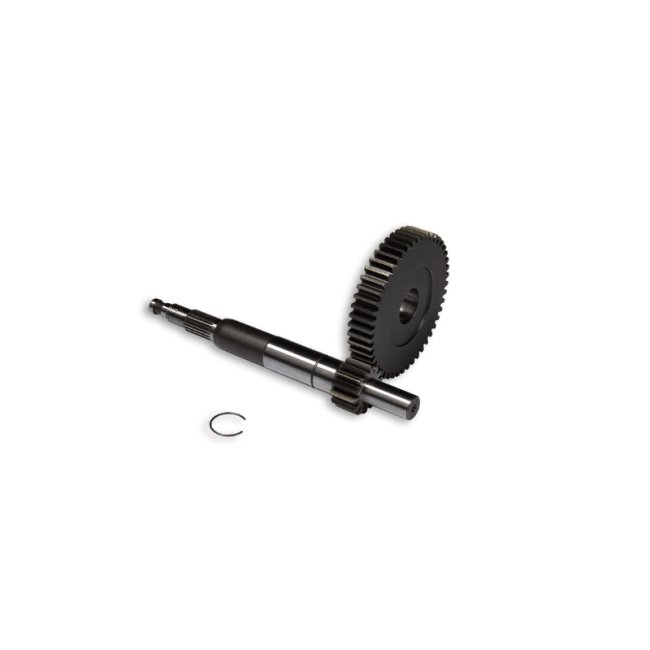 DESARROLLOS PRIMARIOS HTQ z 14/48
